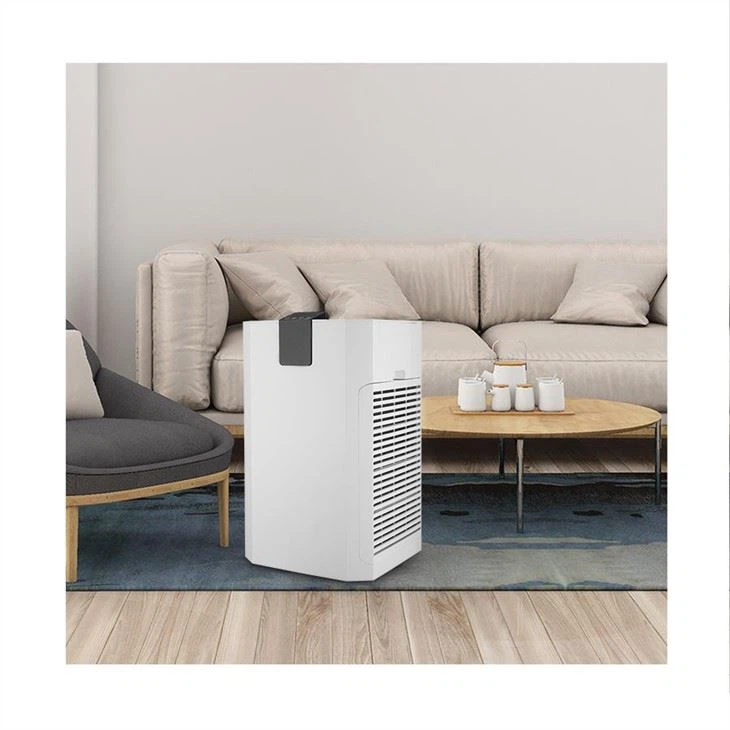 Home New Commerical Air Purifier School Hotel Use