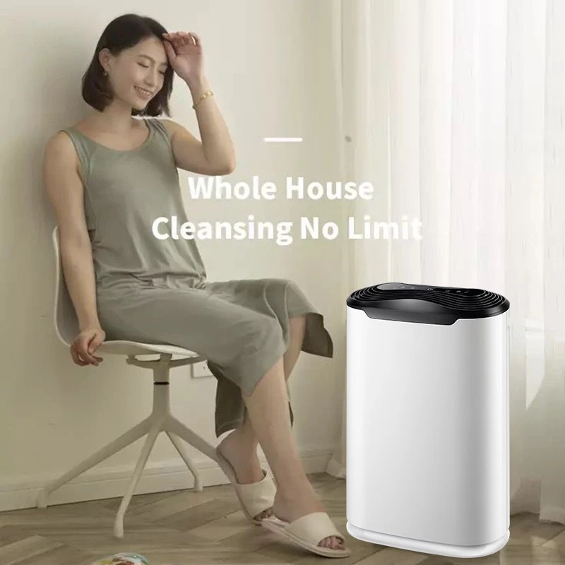 BKJ-215C Mid Room Applied Home Air Puriifer suppliers